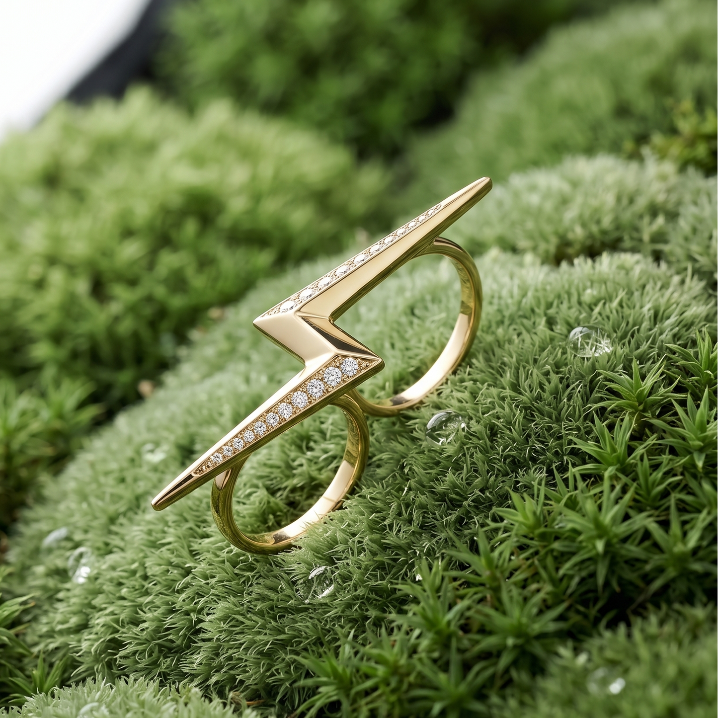 Bolt Ring